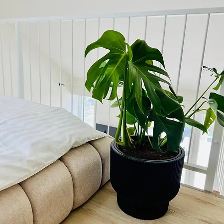 Palavske Apartmany Original Pavlov Zewnętrze zdjęcie