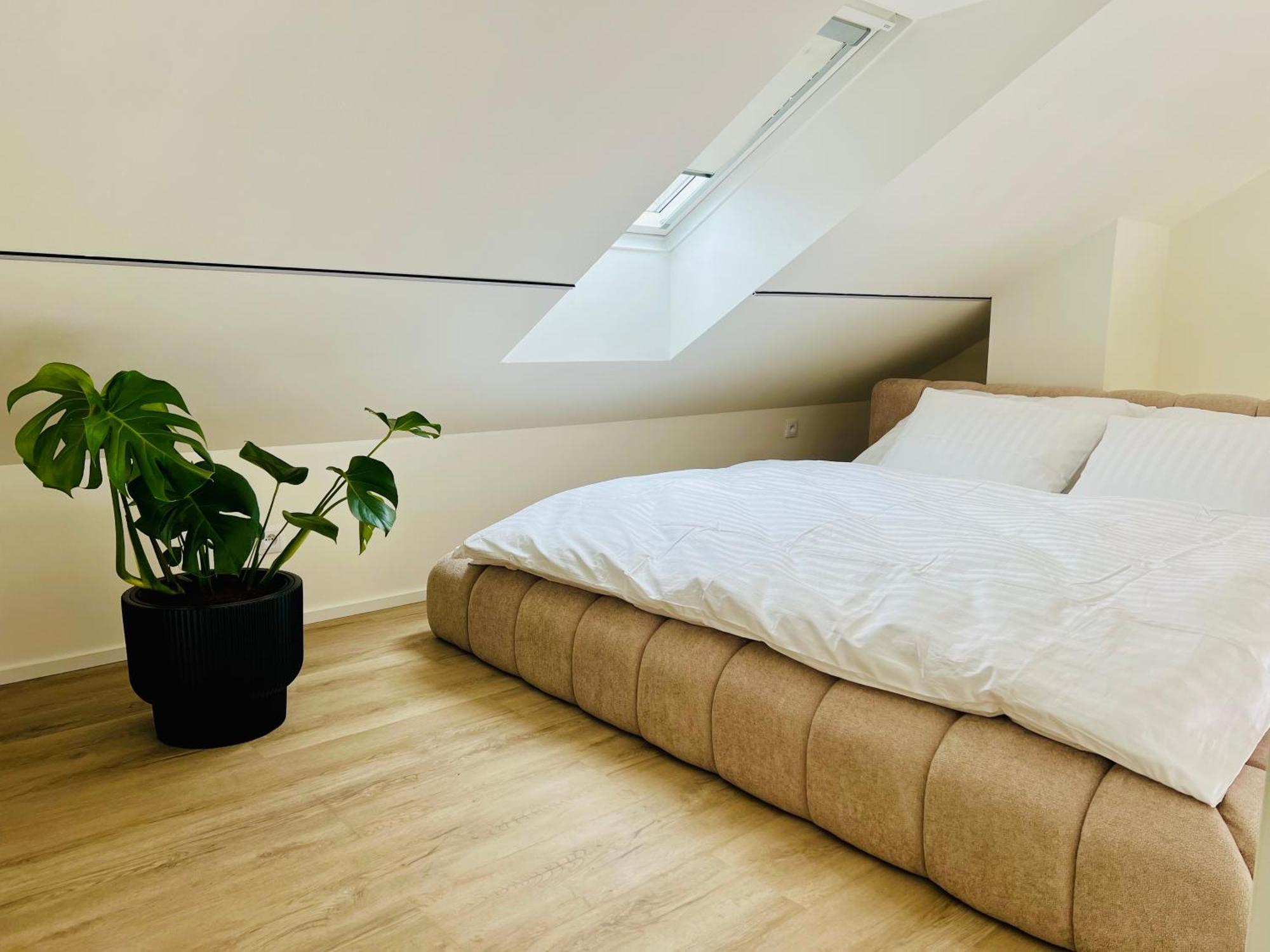 Apartament Palavske Original Pavlov